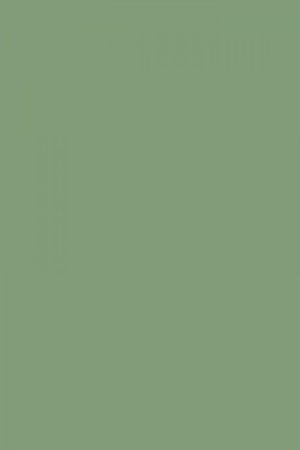 FARROW AND BALL BREAKFAST ROOM GREEN NO. 81 PAINT